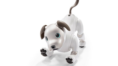 ソニーの犬ロボット「aibo（アイボ）」―ネットにつなぎ「心」をバックアップ可能