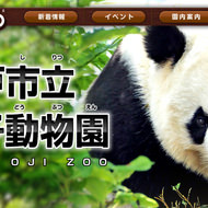 パンダは上野だけじゃないよ！神戸市立王子動物園のパンダも話題