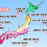 桜の開花、東京は3月20日の見込み―ウェザーニューズが2018年「第四回桜開花予想」を発表