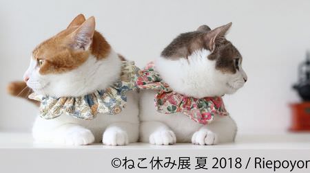 夏休みは、ネコ休み…3周年に突入した「ねこ休み展 夏 2018」