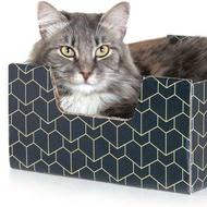 ネコが暮らしやすいダンボール「Purrfect Cat Box」―ネコのサイズを考えて作りました