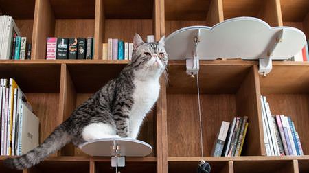 本棚をキャットタワーに ― 家具を活用し、ネコに垂直方向への移動手段を提供する「CATSSUP」