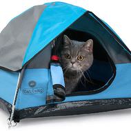 ネコだって、キャンプ気分を味わいたい ― ネコ用テント「Cat Camp」、公式オンラインショップから購入可能に
