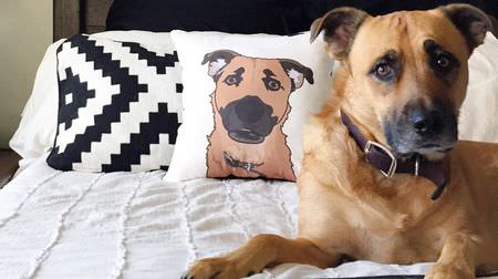 ペットの写真をクッションにしてくれる「Custom Pet Illustration Pillow」