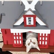 ダンボール製「もふもふ猫神社」Makuakeに登場！ おやつ置きになる賽銭箱付き