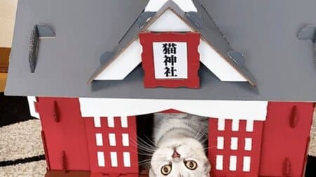ダンボール製「もふもふ猫神社」Makuakeに登場！ おやつ置きになる賽銭箱付き
