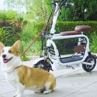 ペットと乗れる電動バイク「モペット」Makuakeで先行予約販売開始 － シート下にキャリー装備！