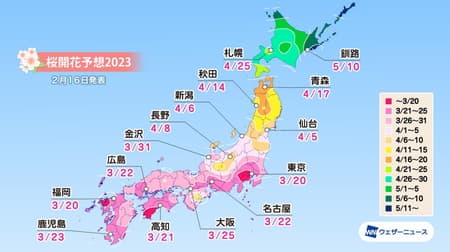 桜開花は3月20日 東京・福岡から！ウェザーニューズが2023年「第三回桜開花予想」発表