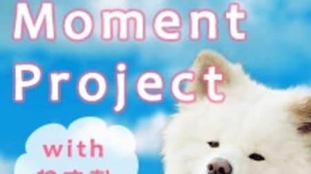 ペット写真共有 SNS「パシャっと my ペット」が「保護犬＆保護猫」への寄付企画